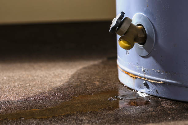 Best Local water damage restoration  in Fair Oaks, GA