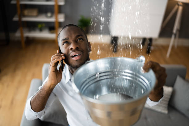 Best Mold removal after water damage  in Fair Oaks, GA