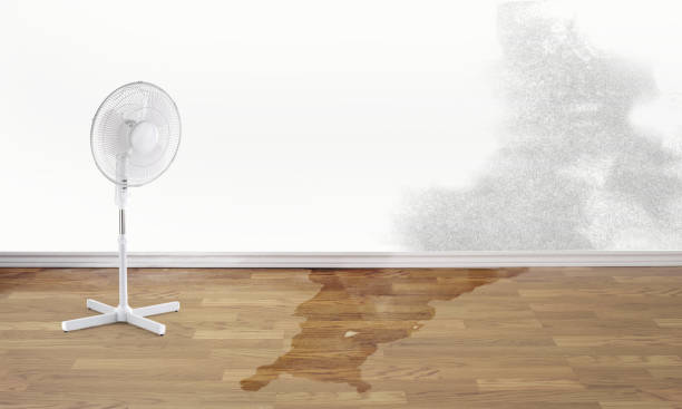 Best Residential water damage restoration  in Fair Oaks, GA