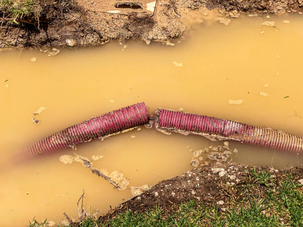 Best Water damage restoration near me  in Fair Oaks, GA